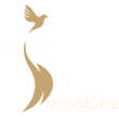 Devocione