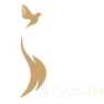 Devocione